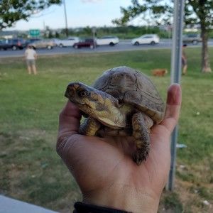 Meet your Posher, Kathrine